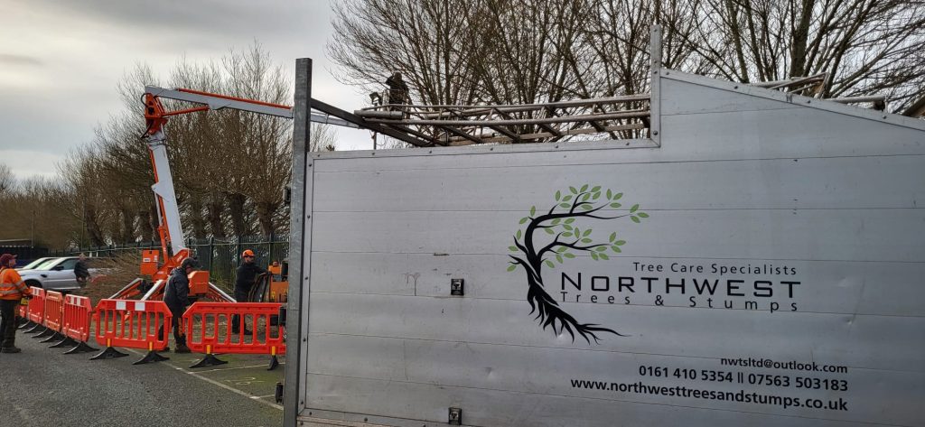 Northwest Trees & Stumps logo on van, designed by Macbeth Designs